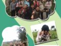 ϾӰ2015