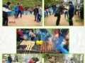 ̫ƽӰǣɫص꣩2016Ϣ