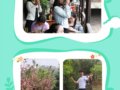̫ƽӰǣ̫꣩ƽӰǣɫص꣩2018괺Ϣ